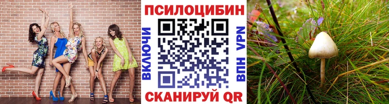 Псилоцибиновые грибы Psilocybine cubensis где купить Томилино